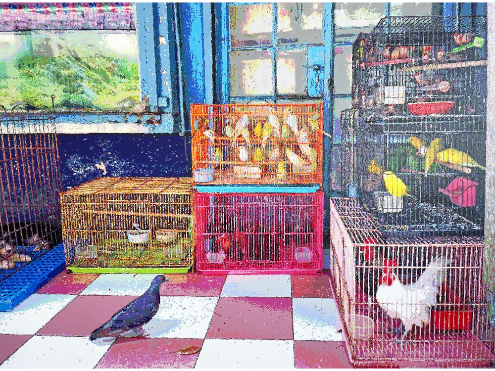 Römer + Römer, Pet shop in Curepipe, 2023, oil on canvas, 150 x 200 cm
