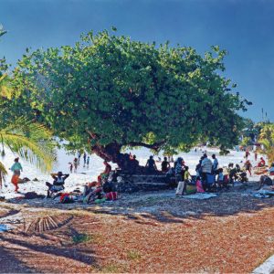 Römer + Römer, Baum an der Blue Bay, 2023, Öl und Acryl auf Leinwand, 200 x 260 cm