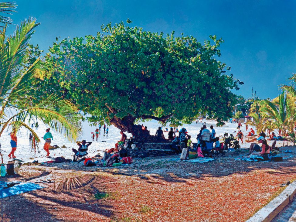 Römer + Römer, Baum an der Blue Bay, 2023, Öl auf Leinwand, 200 x 260 cm